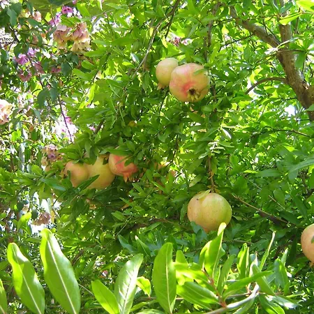 By The Sea Okrug Gornji, Ciovo - 11231 דירה טרוגיר