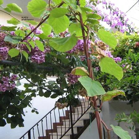 Apartment Apartments By The Sea Okrug Gornji, Ciovo - 11231 Trogir